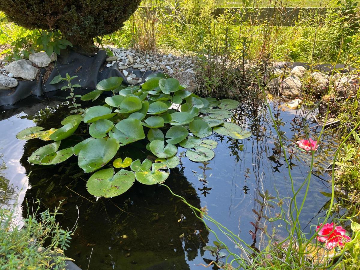 Ferienwohnungen Zum Attersee Lenzing Екстер'єр фото